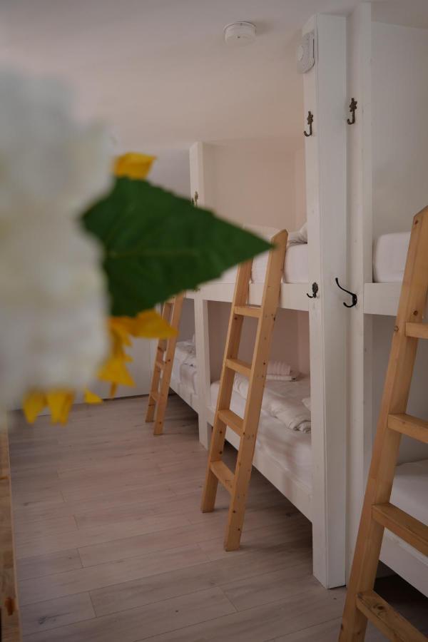Tiny Private City Rooms Haarlem Zewnętrze zdjęcie